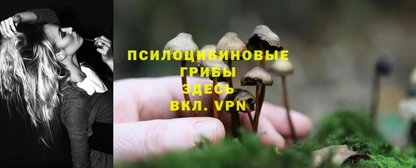 ешки Балахна