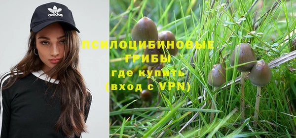 синтетический гашиш Пестово