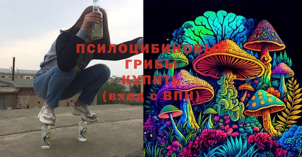 мдпв Армянск