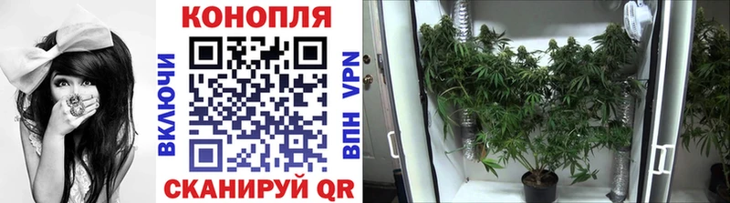 MEGA зеркало Радужный Каннабис Ganja